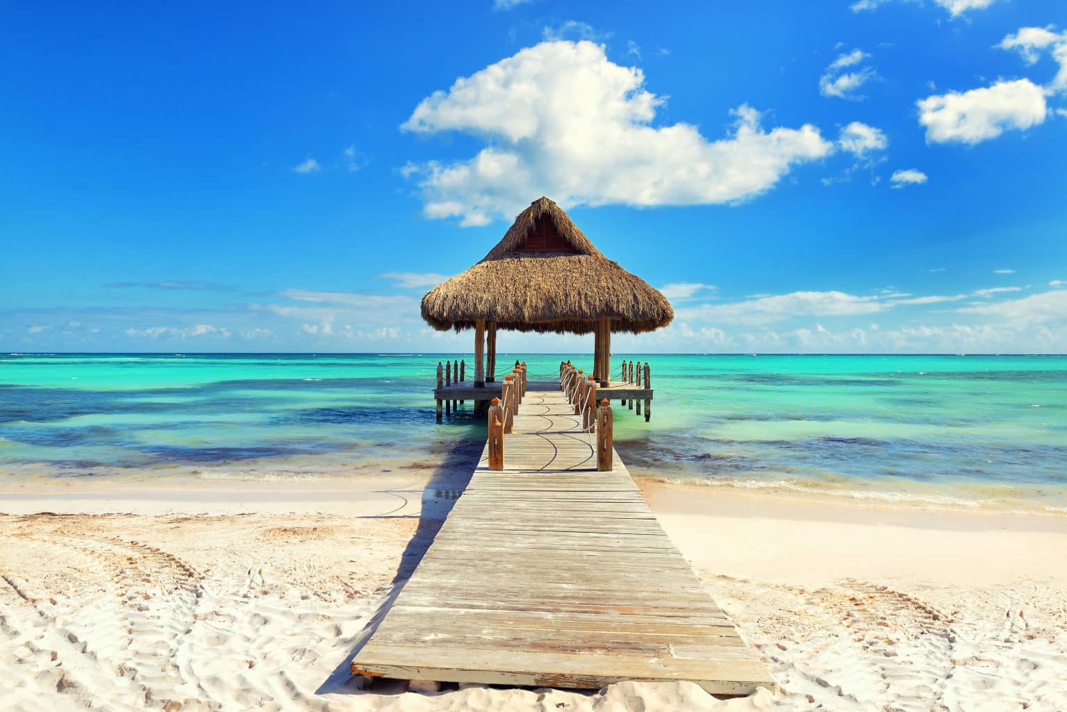 Beach overlooking the ocean